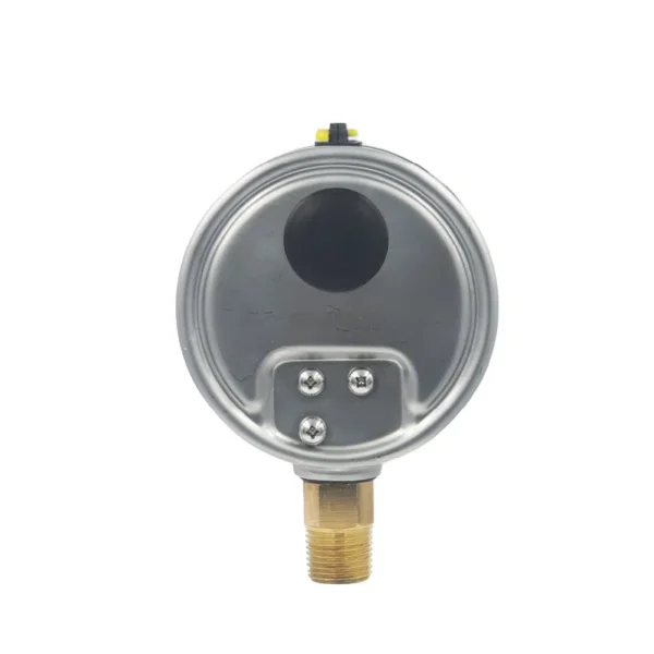 Pressure Gauge KGB4
