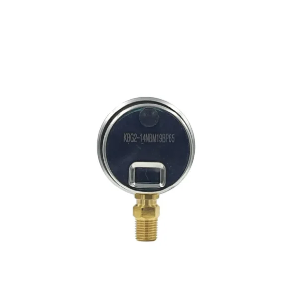 Pressure Gauge KGB2